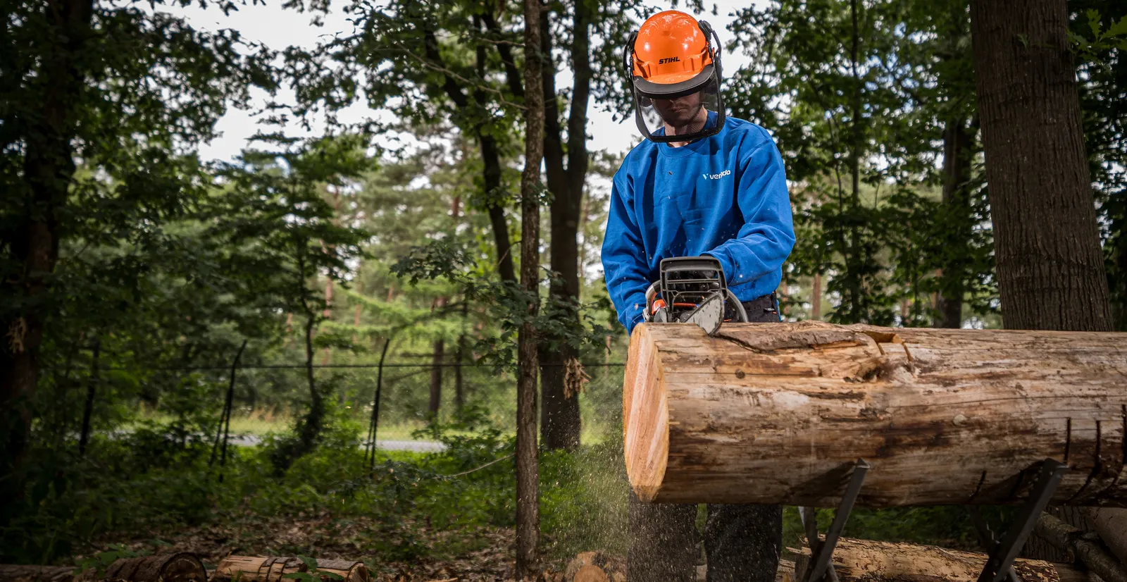 Kettingzaag werker in het bos
