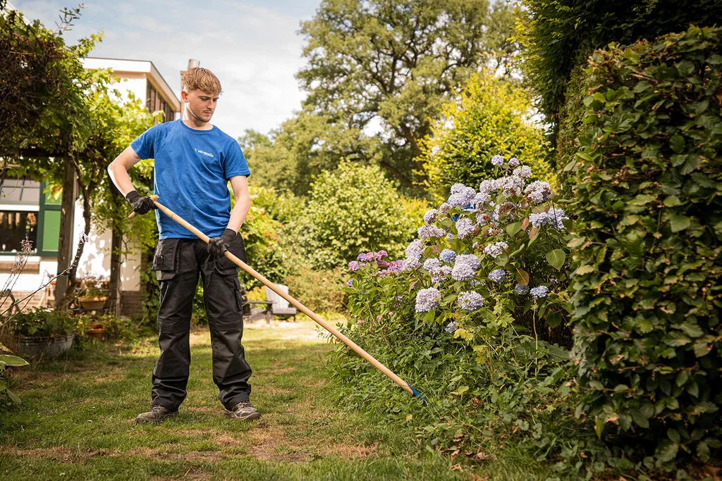 Assistent Hovenier - regio Roermond aan het werk bij Versado in regio Roermond