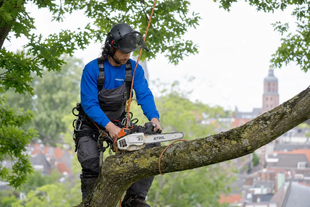 European Tree Worker (ETW)  - regio Geleen aan het werk bij Versado in Geleen